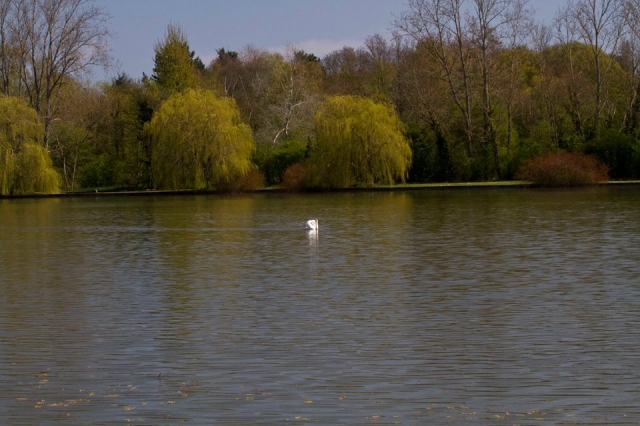  Nuestro lago 