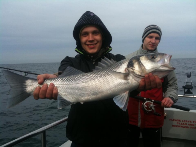  Bass 