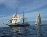Tall Sailing en el Reino Unido 