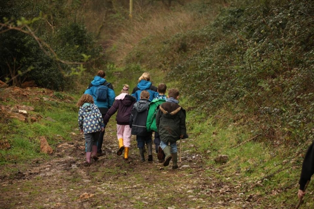  Hinking in the forest 