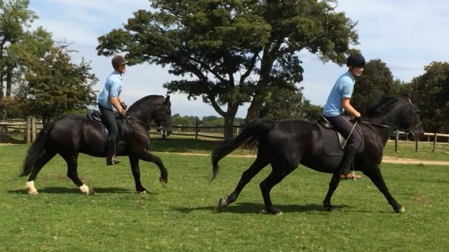  Trecking en Beechwood Riding School 