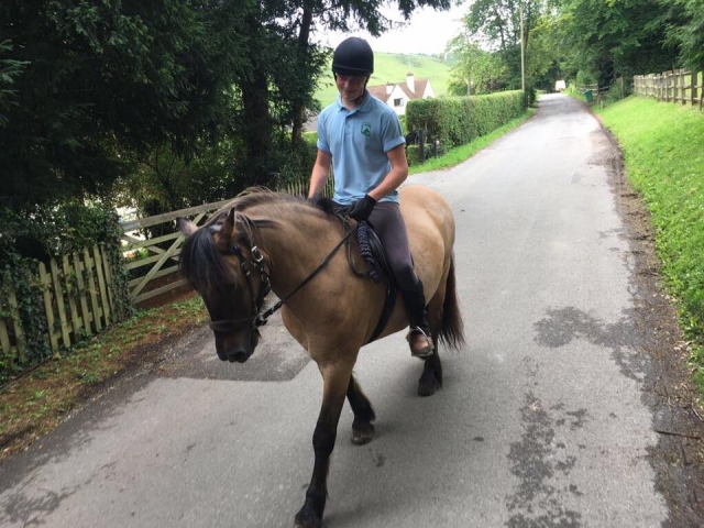  Hackeo en Beechwood Riding School 
