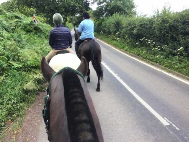  Hackear en la escuela de equitación de Beechwood