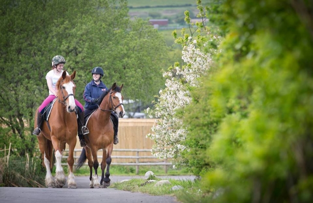 Cimla Equestrian Holiday Centre