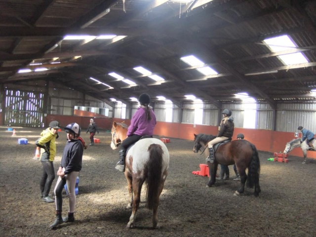  Gymkhana 