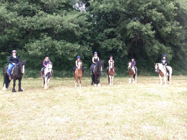  ¡Sube a caballo con tus amigos! 