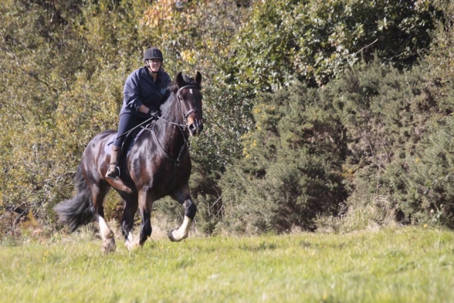  Open Hacking con Marros Riding Center 