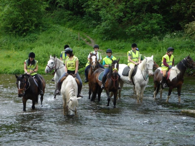  ¡Cabalgando por los ríos! 