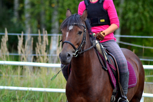  Pbaños tranquilos en nuestras instalaciones. 