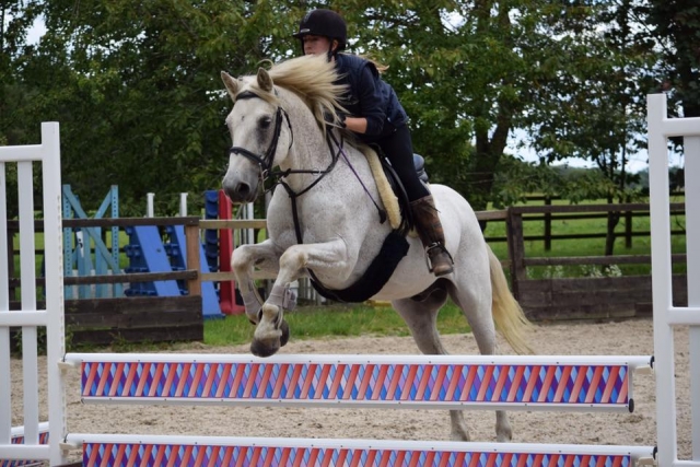  Showjumping en Shardeloes Farm & Equestrian Center