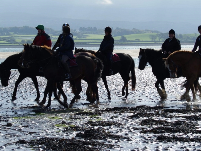  Impresionantes pbaños a caballo para todos