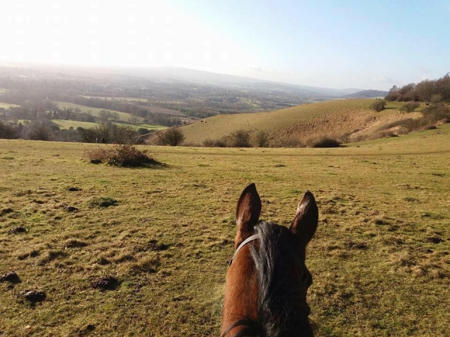  La mejor vista está en Wildwoods Riding Center 