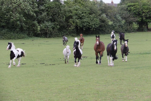  ¡Disfruta de nuestros espacios abiertos! 