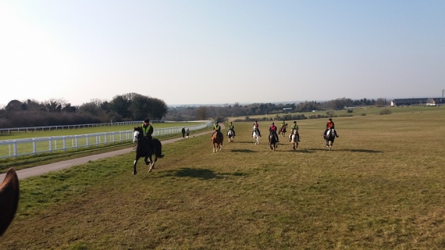  Hackeo en Wildwoods Riding Center 