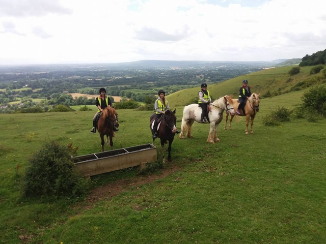  Hackeo en Wildwoods Riding Center