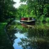  Venga a navegar con nosotros 