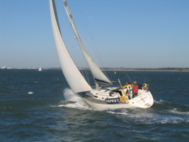  Águila pescadora en el Solent 