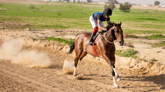  Hombre divirtiéndose subiendo a caballo con nosotros 