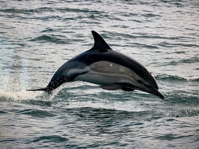  Experiencias encantadoras 