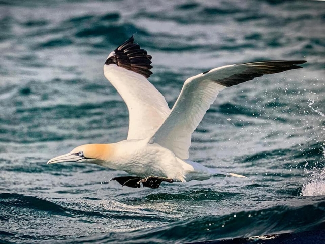  Aventuras divertidas 
