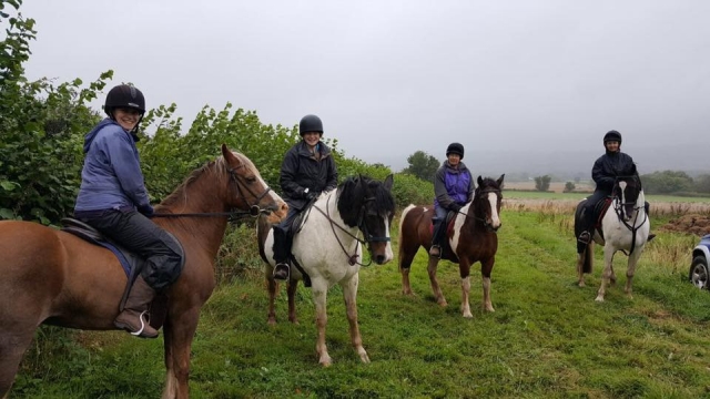  Trekking con Llangorse Mulusted Activity Center 