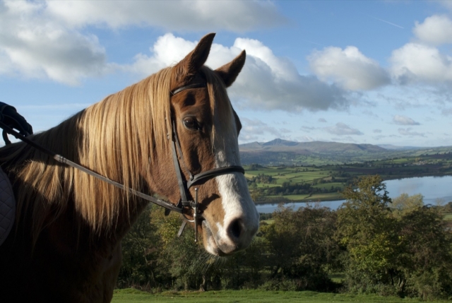  Subir a caballo en Llangorse Mulusted Activity Center 