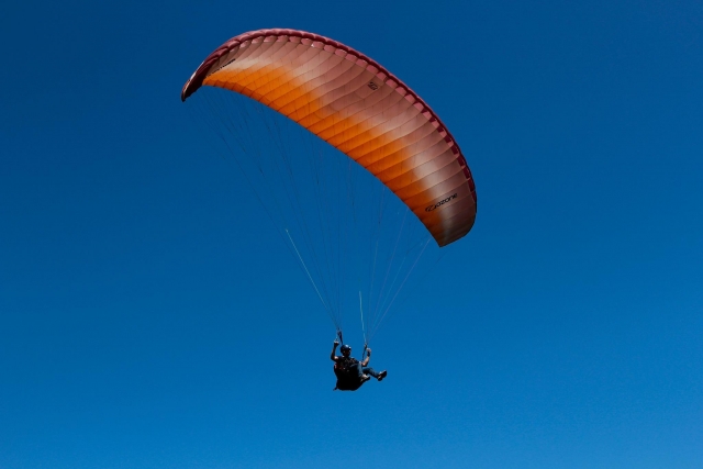  Volando con los pájaros 