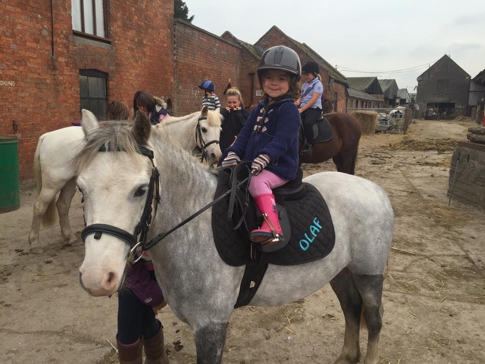 Lecciones para niños en Alstone Alstone Court Riding Establishment   Lecciones para niños en Alstone Alstone Court Riding Establishment