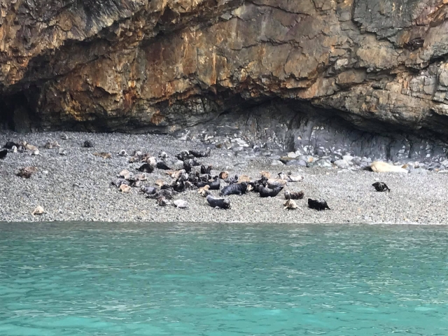  Disfruta de una experiencia completa con la naturaleza 