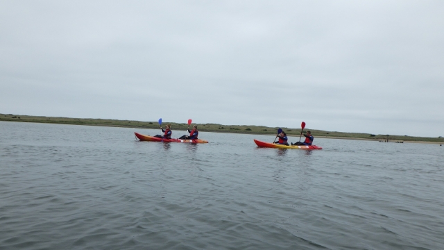  Tener una sesión grupal de kayak