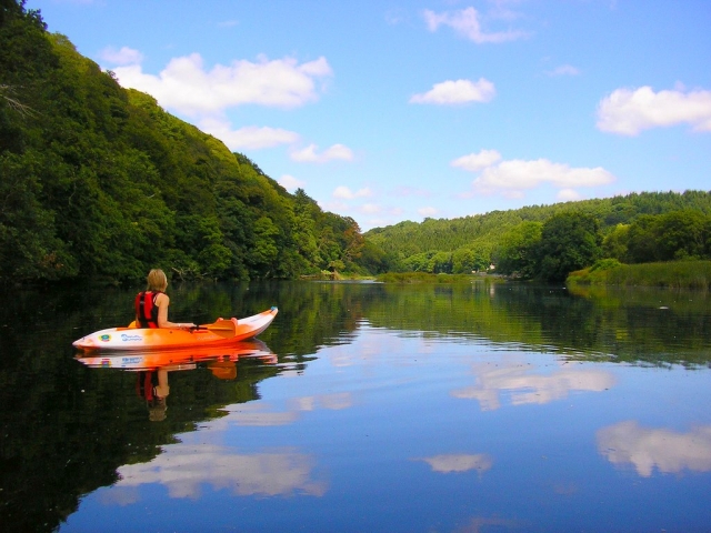 Disfruta del entorno