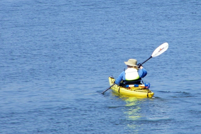 Aprende nueva habilidades