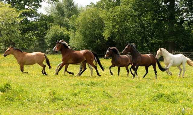  Gratis en Southern Schoolmasters. 