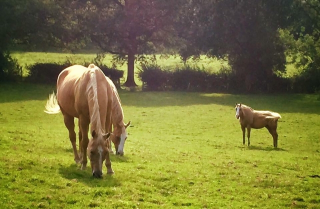  Visile los hermosos espacios de Southern Schoolmasters 