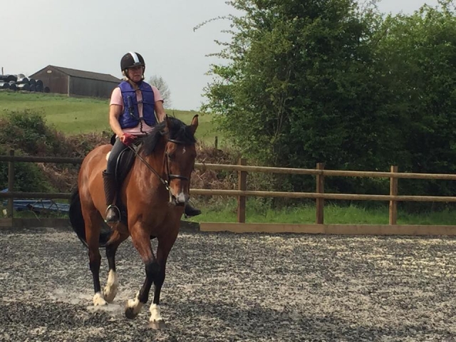  Doma abierta en el sur de Schoolmasters 