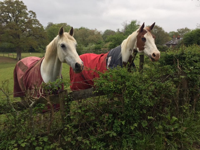  ¡Le estamos esperando!