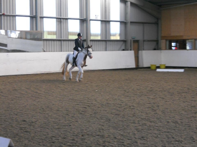  Doma clásica en Willowbrook Riding Center