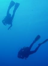  Disfruta buceando con otros 