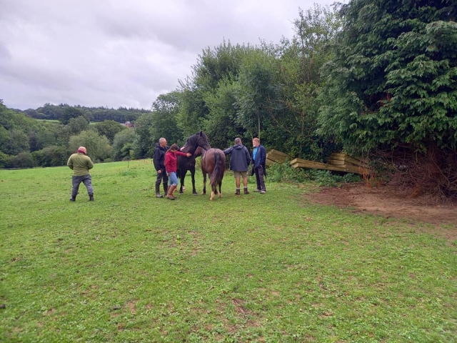  Sube a caballo con nosotros 