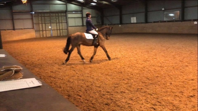  Dressage en Busby Equitation Center 