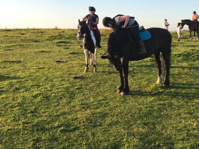  Hacking abierto con Busby Equitation Center 