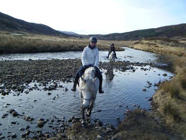  A campo traviesa con Highlands Unbridled 