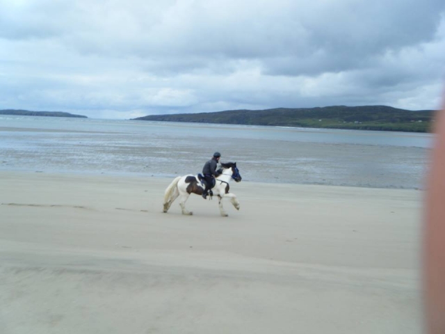  Hacking de playa con Highlands Unbridled
