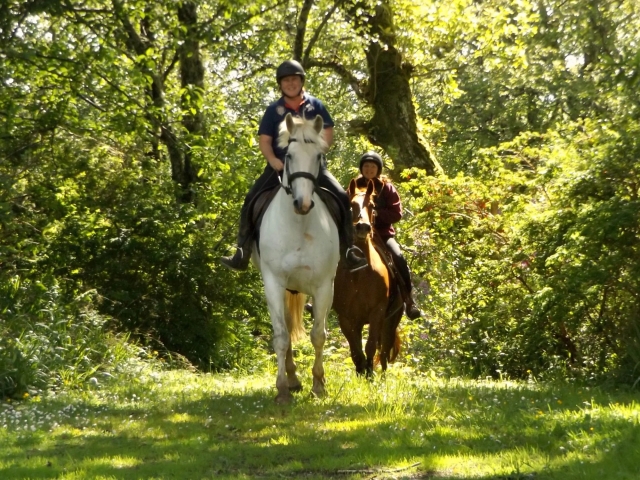  Subir a caballo en Escocia 