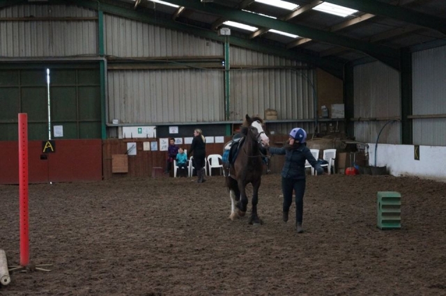  Doma clásica en Houston Farm Riding School 