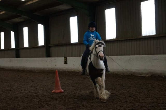  Doma clásica en Houston Farm Riding School 