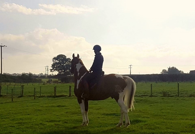  Área al aire libre en Appin Equestrian Center