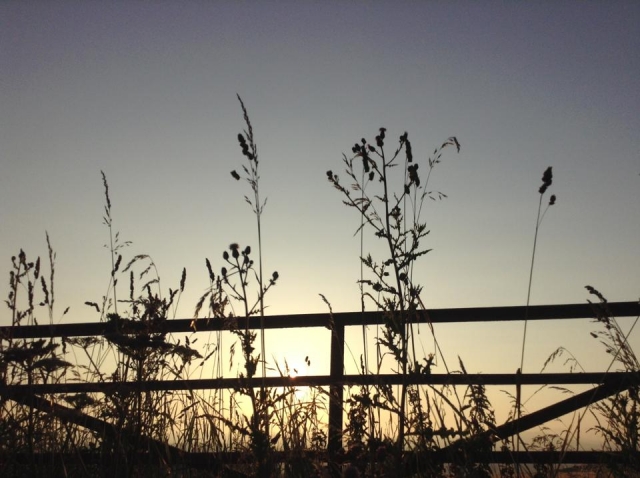  ¡Visile Barbarafield Riding School hoy mismo! 