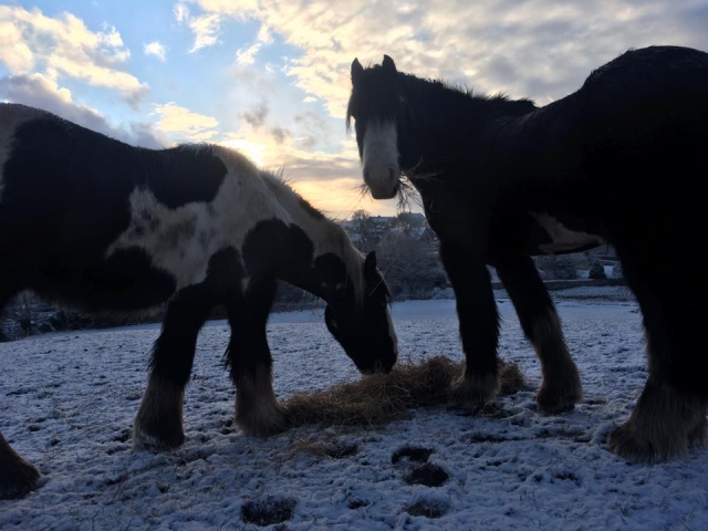  ¡Estamos abiertos todo el año! 