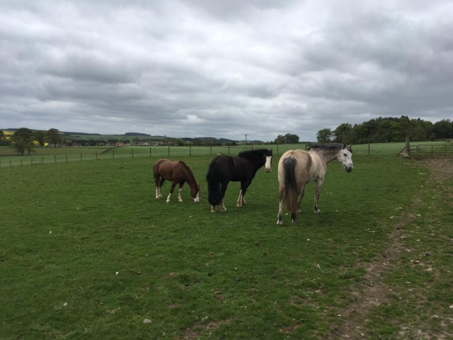  ¡Visile nuestra arena abierta!